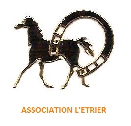 LOGO ASS 2 001