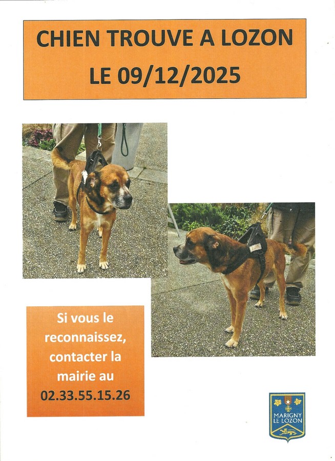 chien trouve a lozon Copier